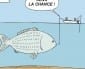 Partir à la pêche aux infos (auteur invité)
