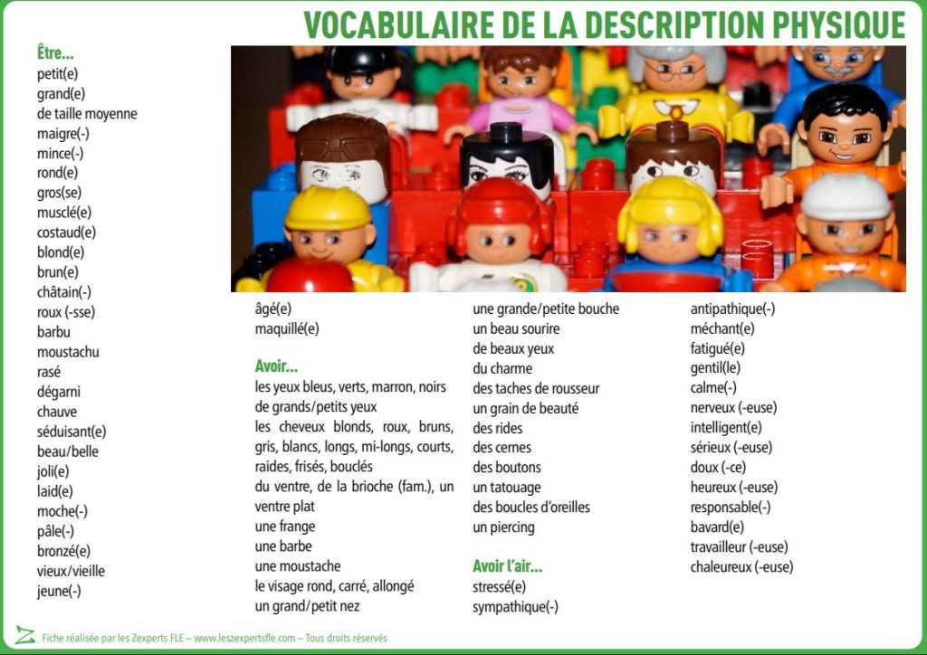 Liste De Vocabulaire Fle La Description Physique Les Zexperts Fle