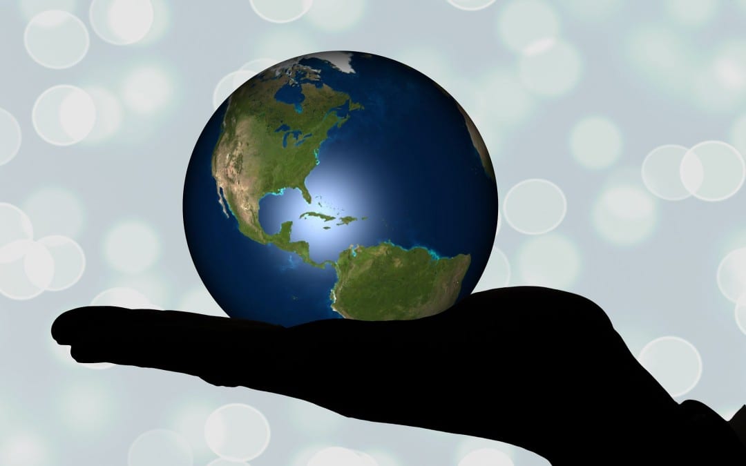 Sensibiliser à l’environnement? Une compréhension orale B2-C2 (auteur invité)
