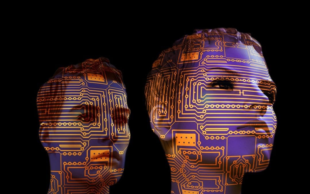 Le travail du futur (B1-B2) (auteure invitée)