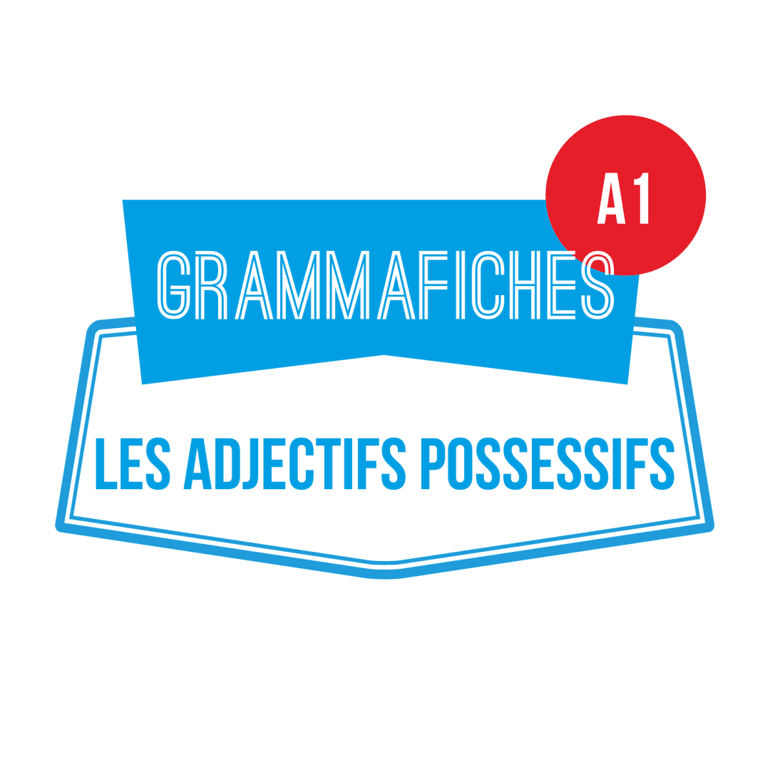 GRAMMAFICHE A1: les adjectifs possessifs