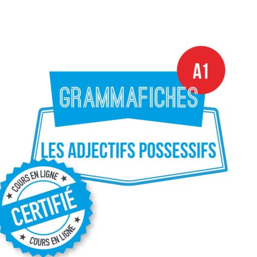 Grammafiche adjectifs possessifs