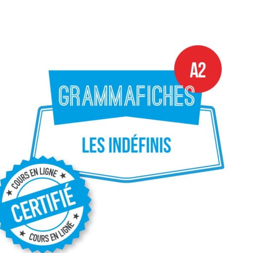 Grammafiche : les indéfinis A2