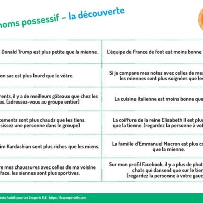 activités pour introduire et pratiquer les pronoms possessifs FLE