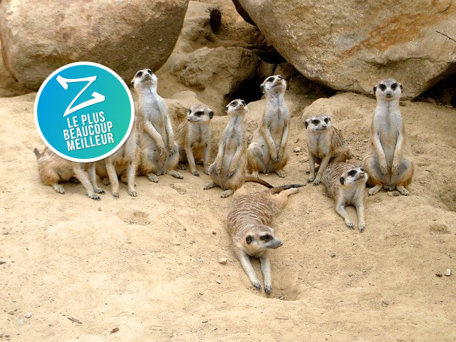 Ma famille…extraordinaire ! (A1)