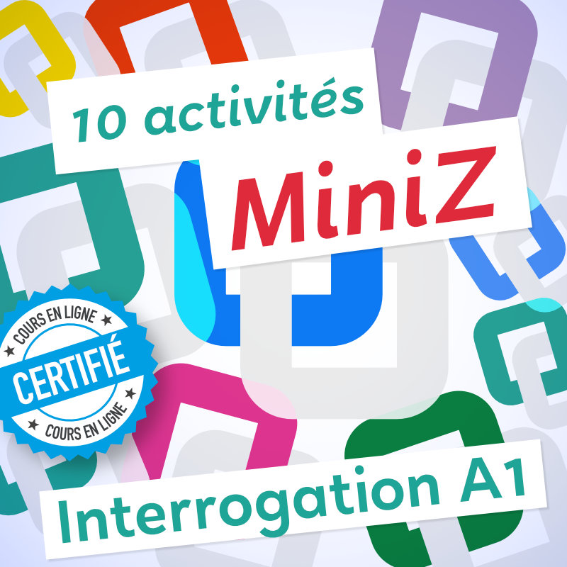 10 MiniZ Interrogation A1