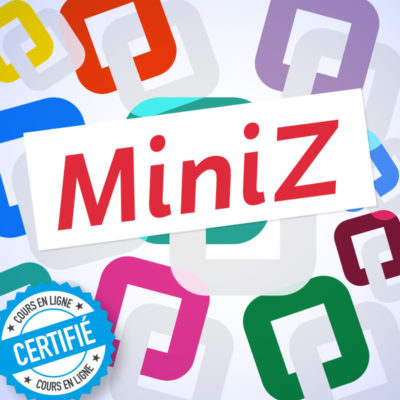 MiniZ