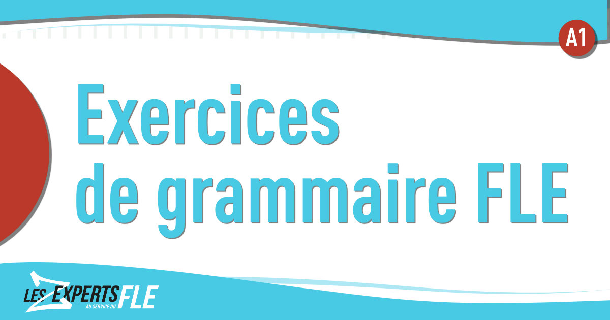 Exercices de grammaire FLE en PDF