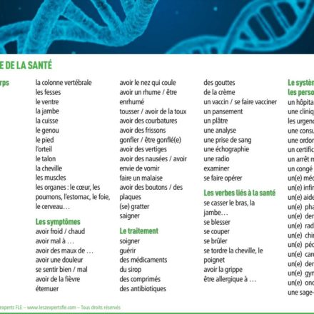 Listes De Vocabulaire - Les Zexperts FLE