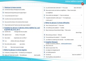 Articles Indéfinis Et Partitifs (A1) : Exercices De Grammaire En PDF