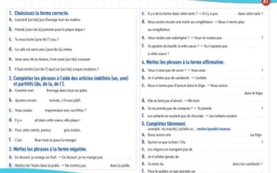 Articles indéfinis et partitifs (A1) : exercices de grammaire en PDF