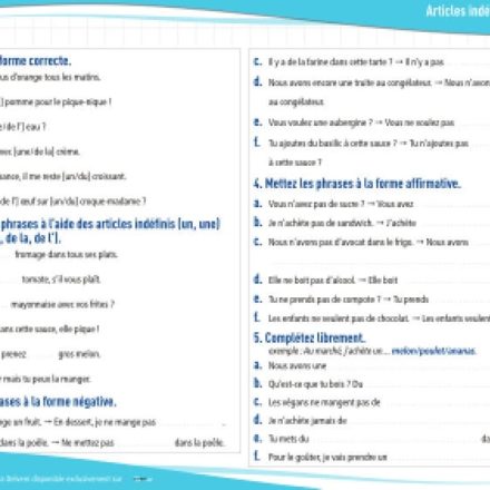 Articles indéfinis et partitifs (A1) : exercices de grammaire en PDF