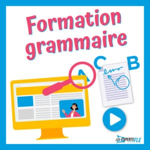 Formation FLE Grammaire