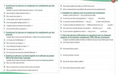 Pronoms compléments EN et Y (A2) : exercices de grammaire en PDF