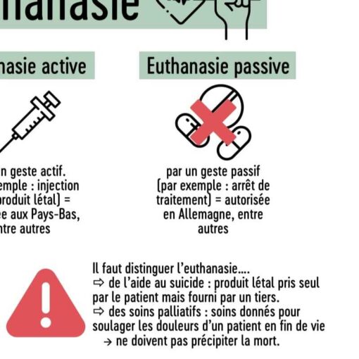 3 infographies FLE evasion fiscale euthanasie regimes B2-C1