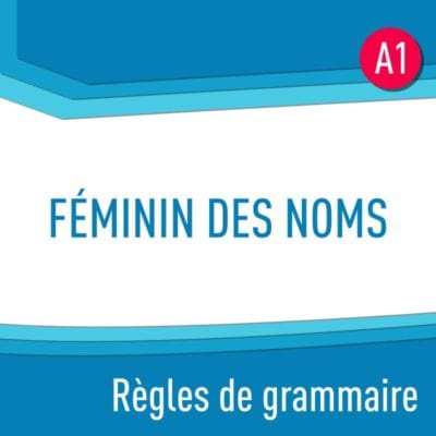 Règles de grammaire : féminin des noms