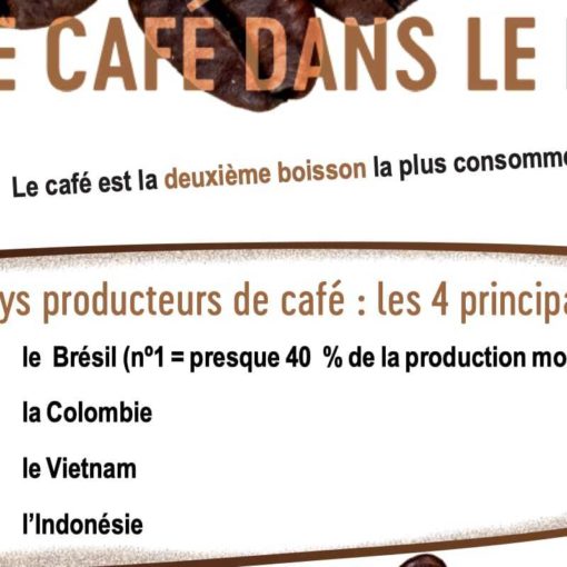 infographies FLE A1-A2 café animaux parc attractions