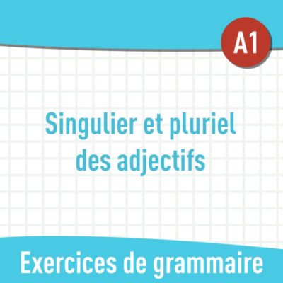 singulier pluriel adjectifs