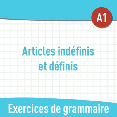 articles infinis et définis