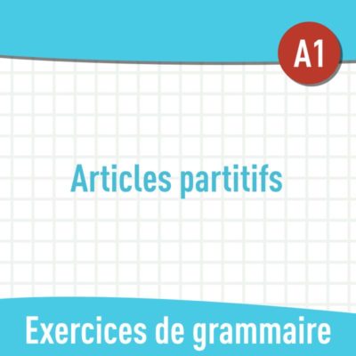 articles partitifs