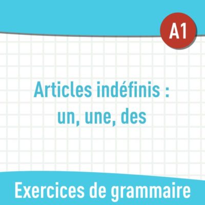 articles indéfinis