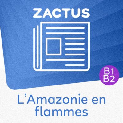 l'Amazonie en flammes