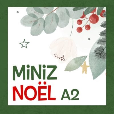 miniz-noel-A2