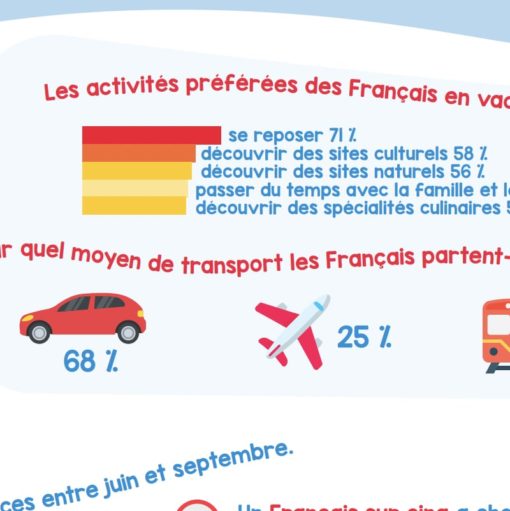 Les Zinfographies - Pack 12 (A1-A2) – Image 3