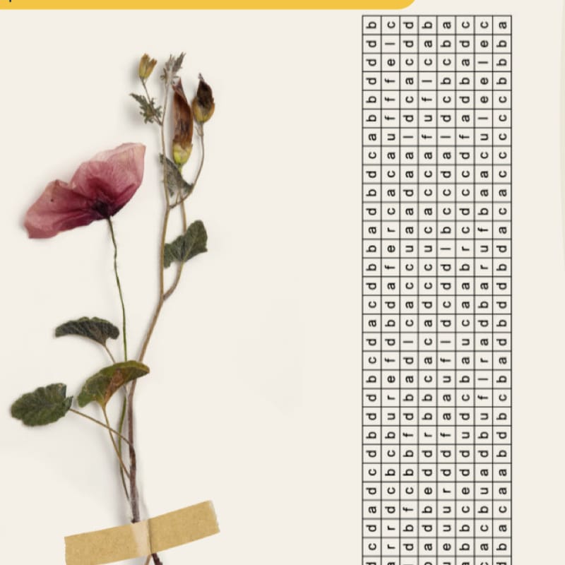 escape game FLE amnésie B1