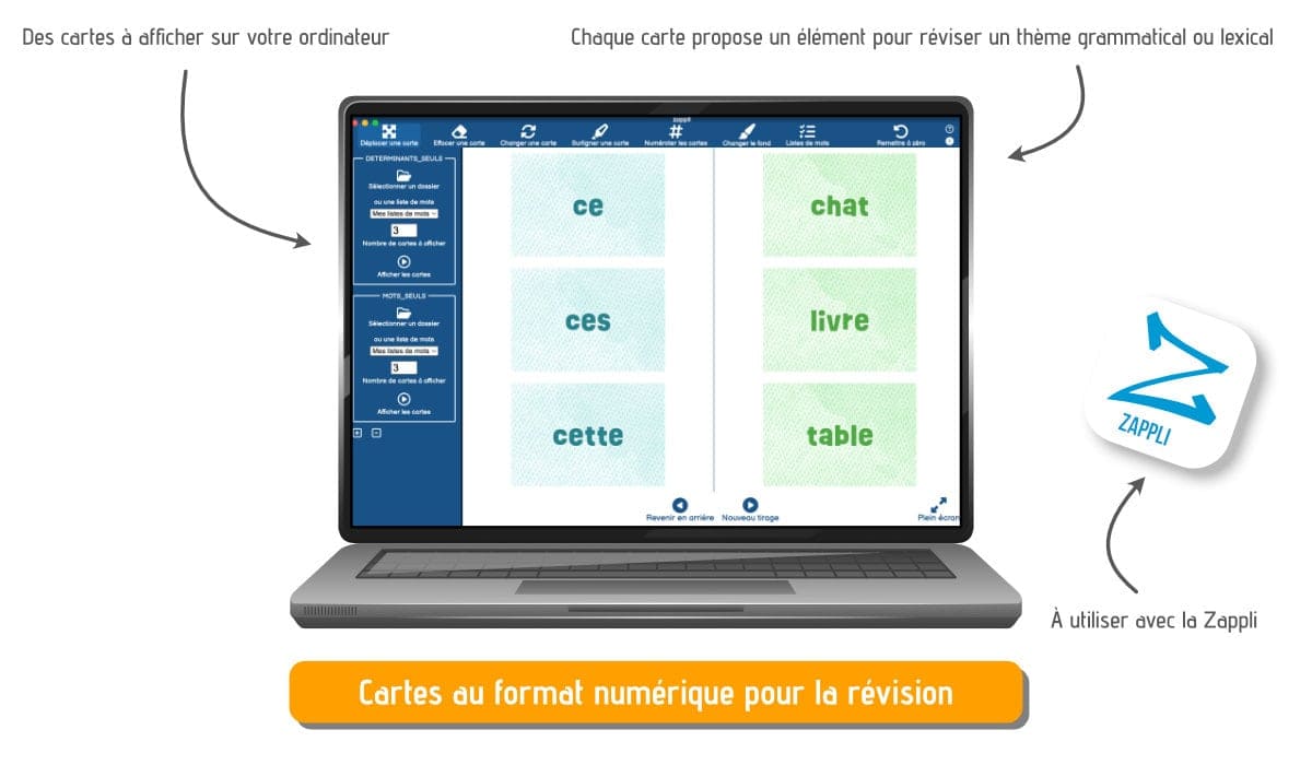 Les déterminants et le genre des noms (A1)