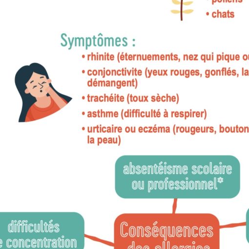 Les Zinfographies - Pack 11 (B1-B2) – Image 4